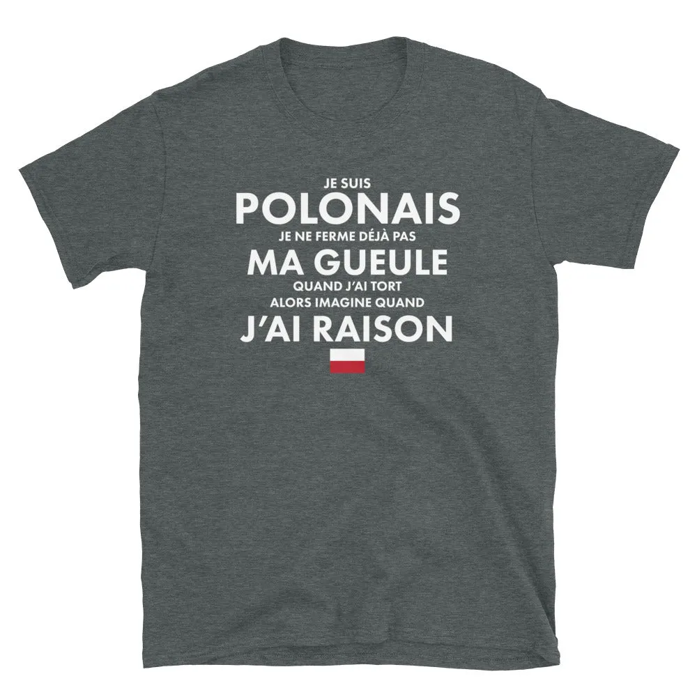 Je suis Polonais je ne ferme pas ma gueule - T-shirt standard